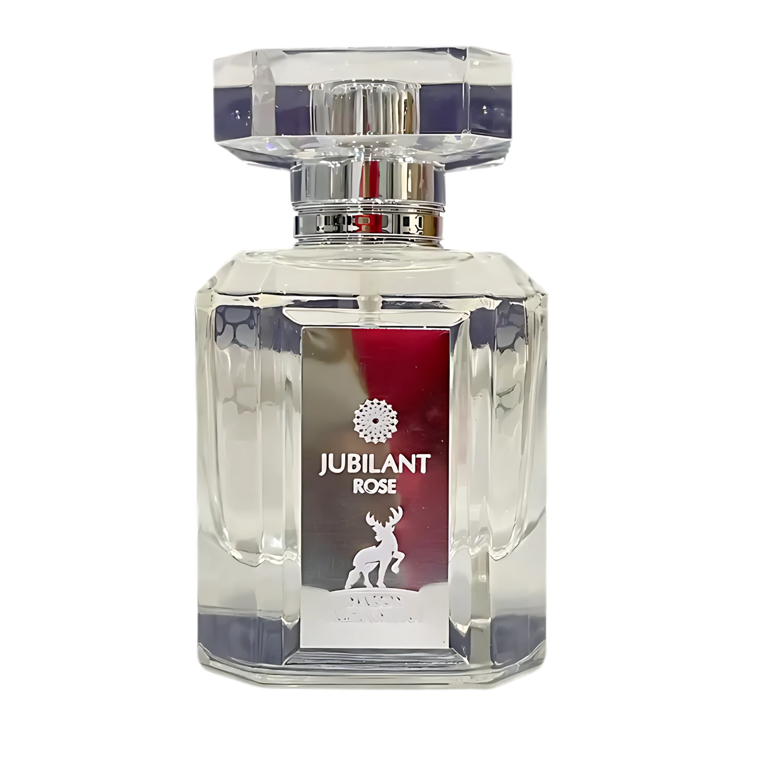 Jubilant Rose - Maison Alhambra